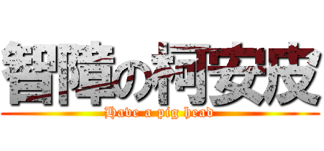智障の柯安皮 (Have a pig head)