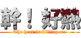 幹！ 好熱 (The heat is killing me)