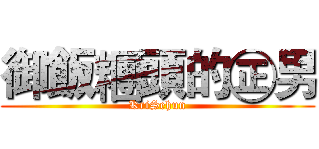 御飯糰頭的㊣男 (KriSehun)