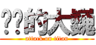 进击的大巍 (attack on titan)