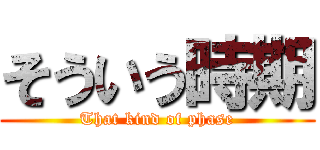 そういう時期 (That kind of phase)