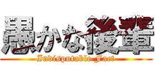 愚かな後輩 (Indisputable Fact)