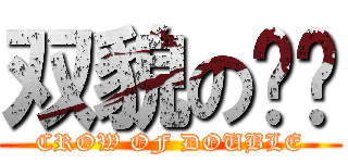 双貌の飞锥 (CROW OF DOUBLE)