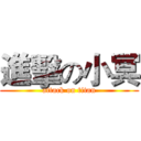 進擊の小冥 (attack on titan)