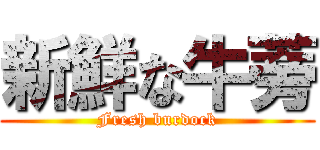 新鮮な牛蒡 (Fresh burdock)