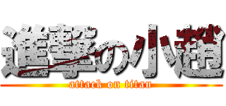 進撃の小趙 (attack on titan)