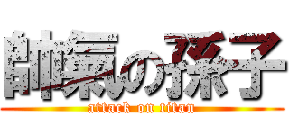 帥氣の孫子 (attack on titan)