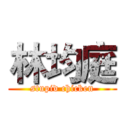 林均庭 (stupid chicken)