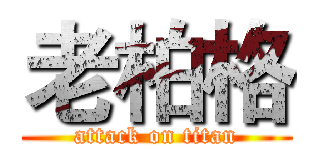 老柏格 (attack on titan)