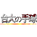 台大の手球 ()