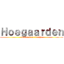 Ｈｏｅｇａａｒｄｅｎ (witbier-biere blanche)