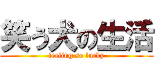 笑う犬の生活 (feeling so lucky)