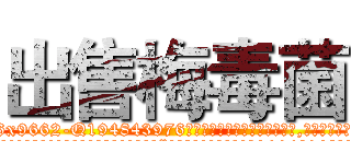 出售梅毒菌 (出售梅毒菌【电.话186x0156x9662-Q194843976林氏药业】我们做的是长期生意,靠的是老客户长期支持
参考消息网2月20日报道 韩媒称，“剩女多、离婚率高的城市，房价一定会上涨。”这是中国经济学家金岩石2016年12月参加在上海举行的房地产相关论坛时说的话。
)
