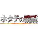 ホタテの親戚 (relative of scallops)