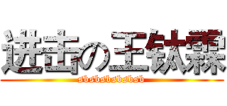 进击の王钛霖 (sbsbsbsbsbsb)