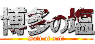 博多の塩 (Salt of solt)