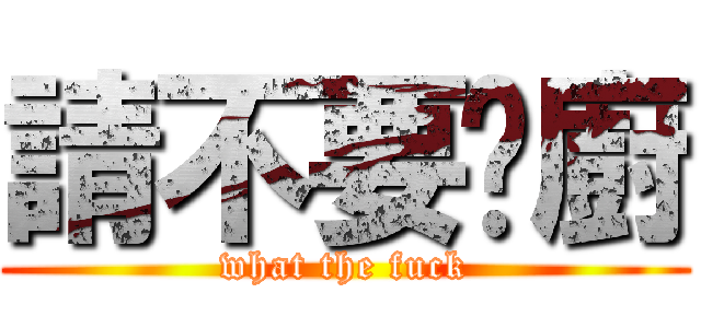 請不要耍廚 (what the fuck)