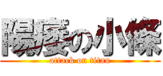 陽痿の小條 (attack on titan)