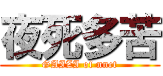 夜死多苦 (GAIZI of nnct)