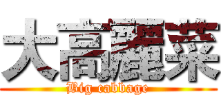 大高麗菜 (Big cabbage)