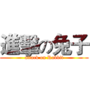 進擊の兔子 (attack on Rabbit)