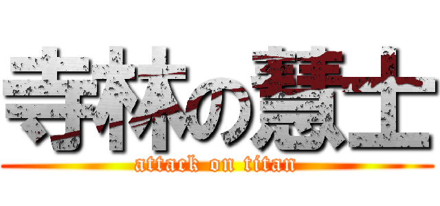 寺林の慧士 (attack on titan)