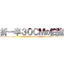 折一半３０ＣＭの伯強 (attack on titan)