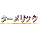 ターメリック (Turmeric)