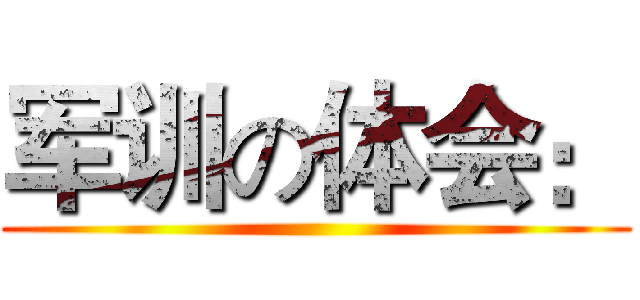 军训の体会： ()