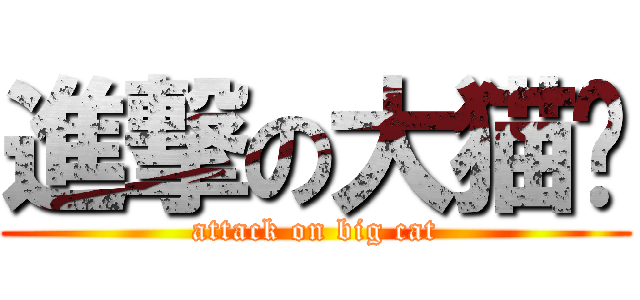 進撃の大猫咪 (attack on big cat)