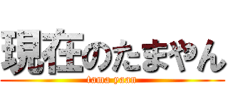 現在のたまやん (tama yaan)