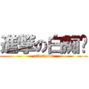 進撃の白痴璿 (afdsfasdf)