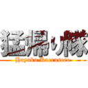 猛帰り隊 (Hayaku Kaerasero)