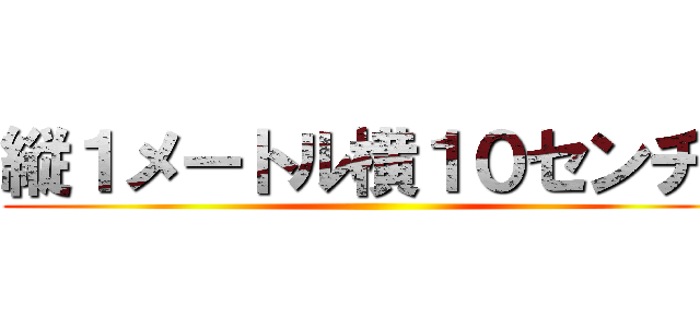 縦１メートル横１０センチ！ ()