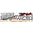 進撃の芝柏 (Fight!)