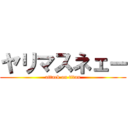 ヤリマスネェー (attack on titan)