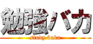 勉強バカ (study baka)