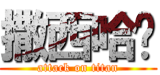 撒西哈啦 (attack on titan)