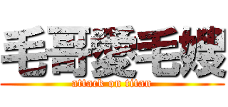 毛哥愛毛嫂 (attack on titan)