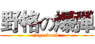 野格の爆弾 (jagerbomb)