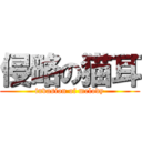 侵略の猫耳 (invasion of melody)