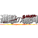 進擊の貓狗 (Dog and cat)