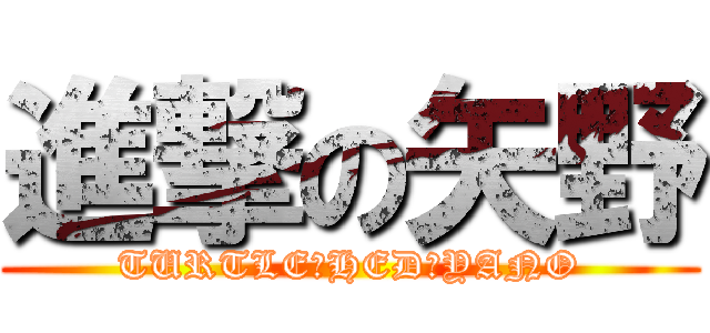 進撃の矢野 (TURTLE　HED　YANO)