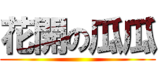 花開の瓜瓜 ()