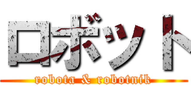 ロボット (robota & robotnik)