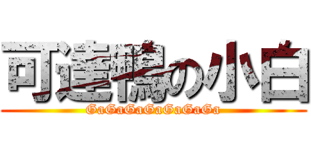 可達鴨の小白 (GaGaGaGaGaGaGa)