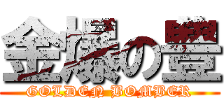 金爆の豊 (GOLDEN BOMBER)