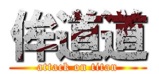 侔道道 (attack on titan)