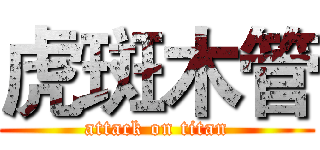 虎斑木管 (attack on titan)