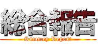 総合報告 (Summey Report)